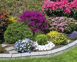 Colourful Garden - Garden Maintenance in Eltham, London