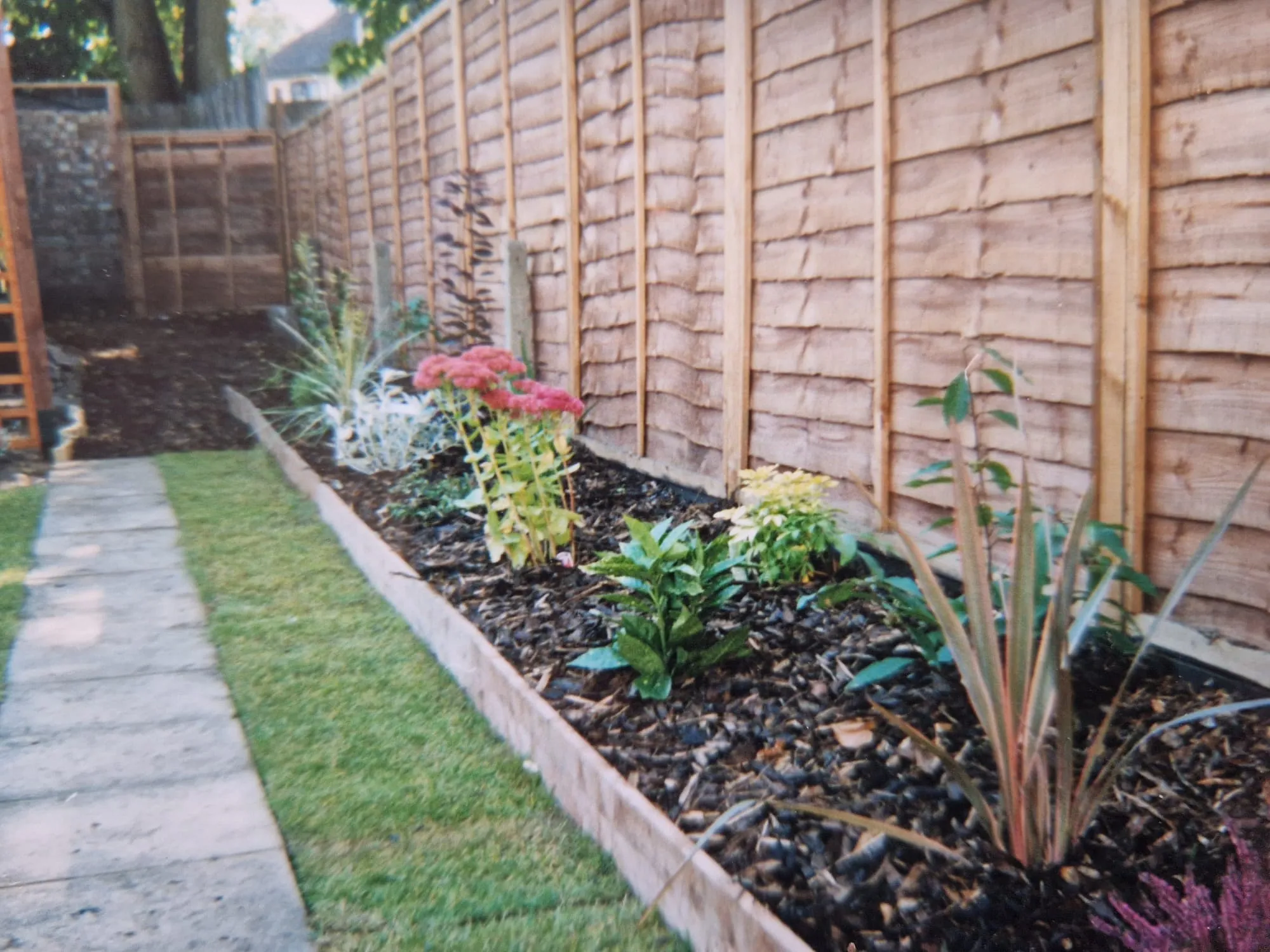 Garden border with new fence