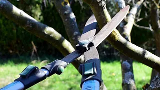 tree pruning